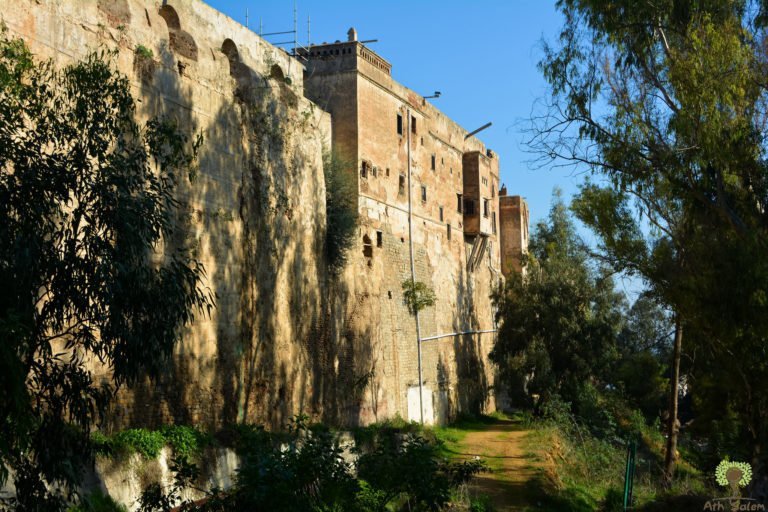 Defensive walls on the heights, vegetation taking the stonework.