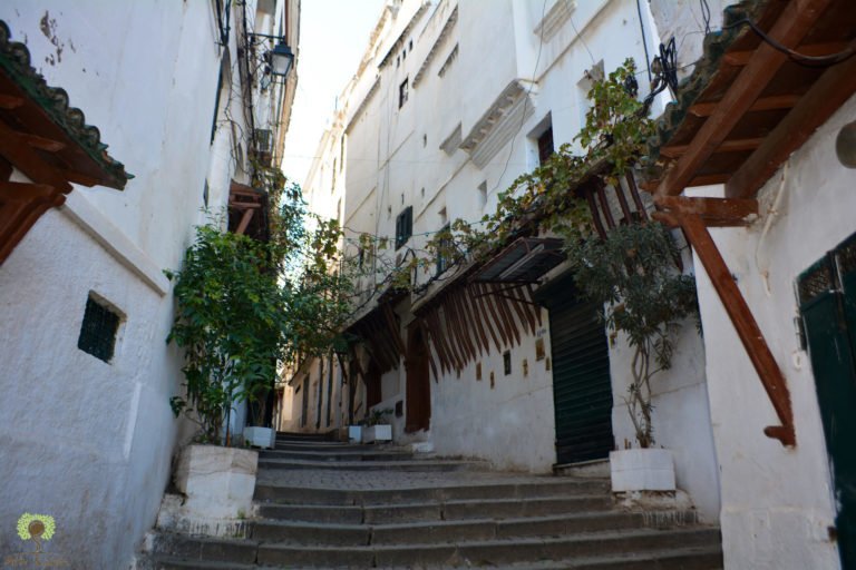 A stepped street in the upper town, plants on every ledge, timber galleries overhead.
