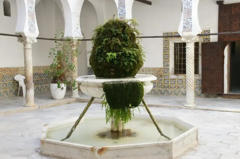 A stone fountain basin in a courtyard, the arcade running behind it.